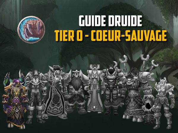 Set T0 pour le Druide