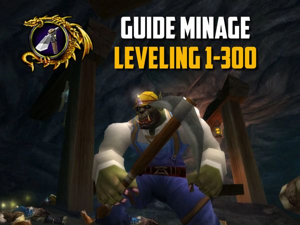 Guide du Minage - Leveling 1-300 wow classic