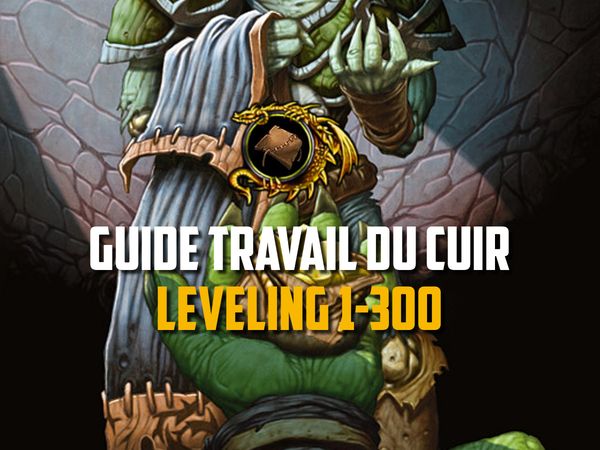 Guide du Travail du Cuir - Leveling 1-300