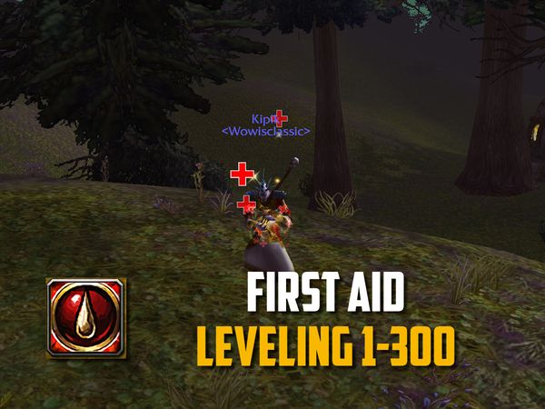 First Aid Leveling Guide 1-300