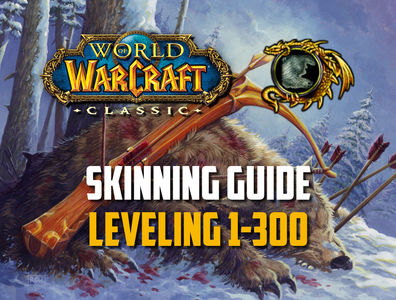 leveling skinning guide 1-300