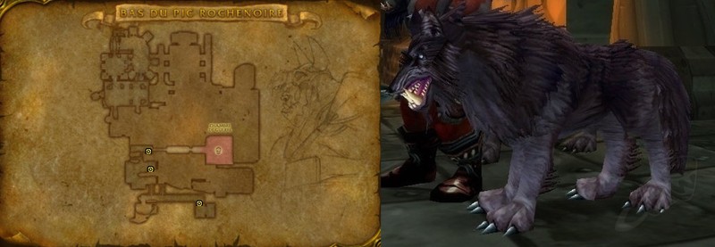 Hunter PvE Guide Classic WoW