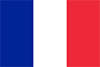 View website in Français